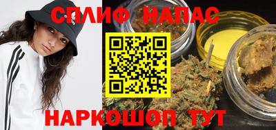 индика Нягань