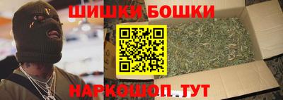 индика Нягань