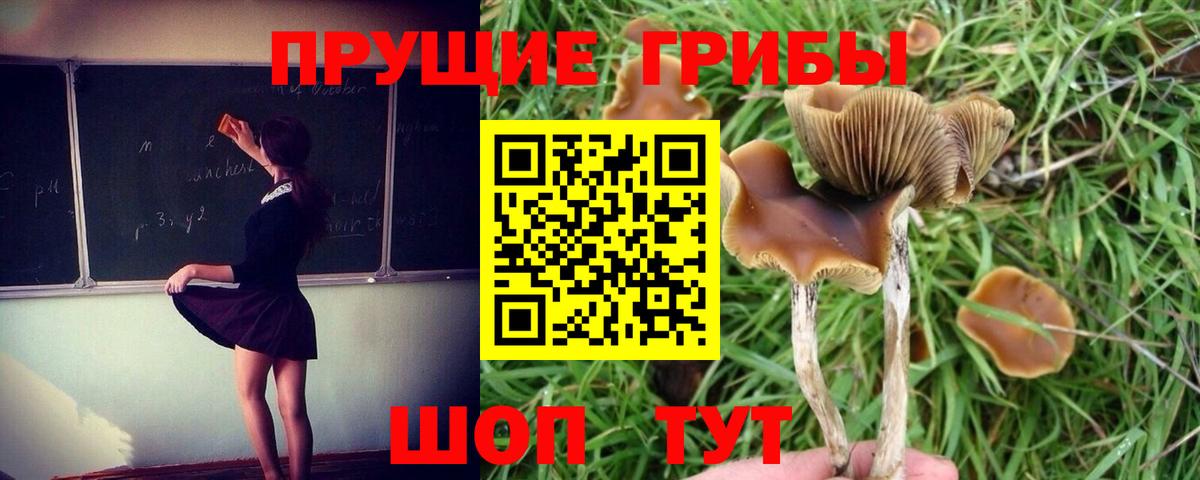 Где купить наркотики?  Конопля  Вход с VPN  Мефедрон   КОКАИН  Славгород  Гашиш  Alpha-PVP СОЛЬ кристаллы 