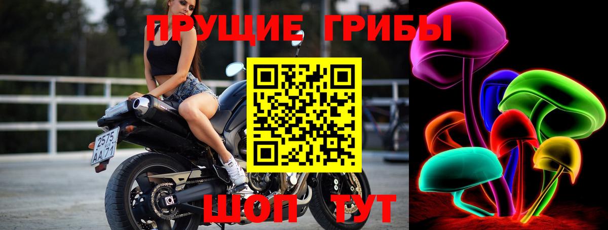 Псилоцибиновые грибы мицелий Славгород