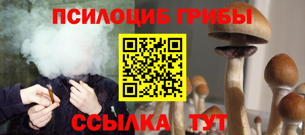 Славгород  Псилоцибиновые грибы мицелий  Вход с VPN 